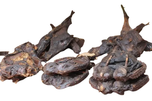Bush Meat