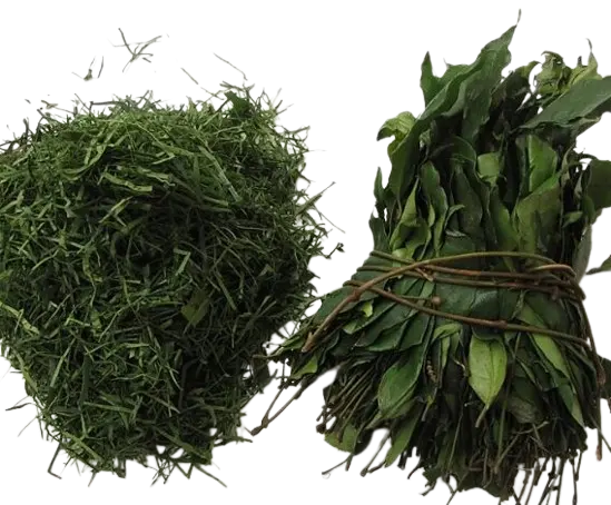 Fresh Eru